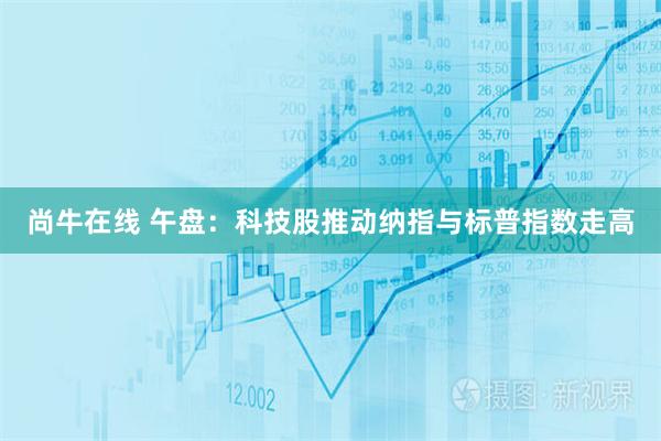 尚牛在线 午盘：科技股推动纳指与标普指数走高