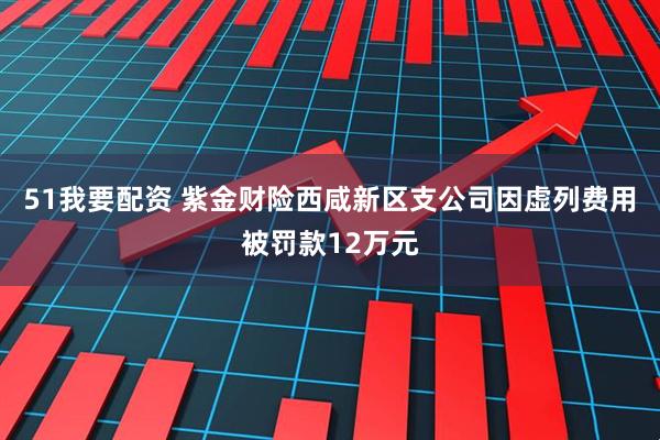 51我要配资 紫金财险西咸新区支公司因虚列费用被罚款12万元