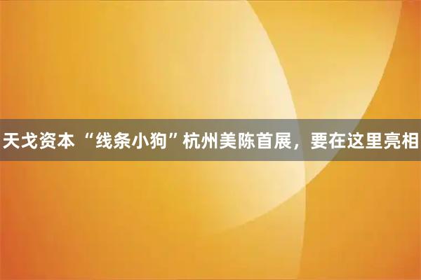 天戈资本 “线条小狗”杭州美陈首展，要在这里亮相